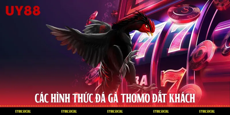 Các Hình Thức Đá Gà Thomo Đắt Khách