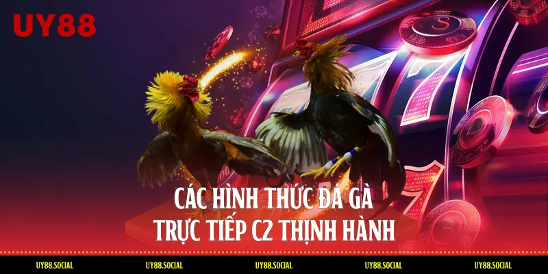 Các Hình Thức Đá Gà Trực Tiếp C2 Thịnh Hành