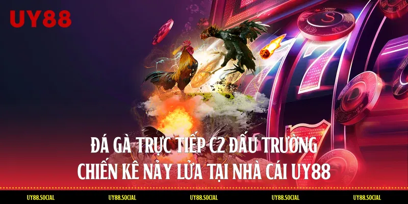 Đá Gà Trực Tiếp C2