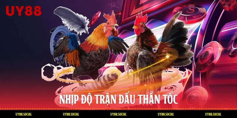 Nhịp Độ Trận Đấu Thần Tốc